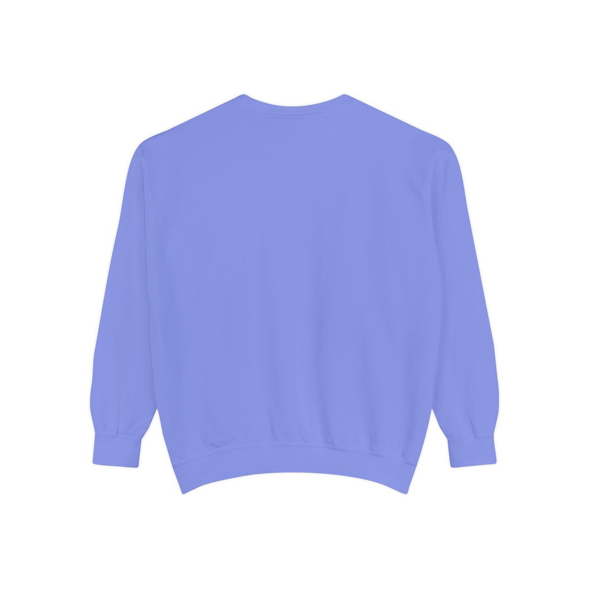 Tubman-Truth, Unisex, Garment-Dyed Sweatshirt (City Champs)