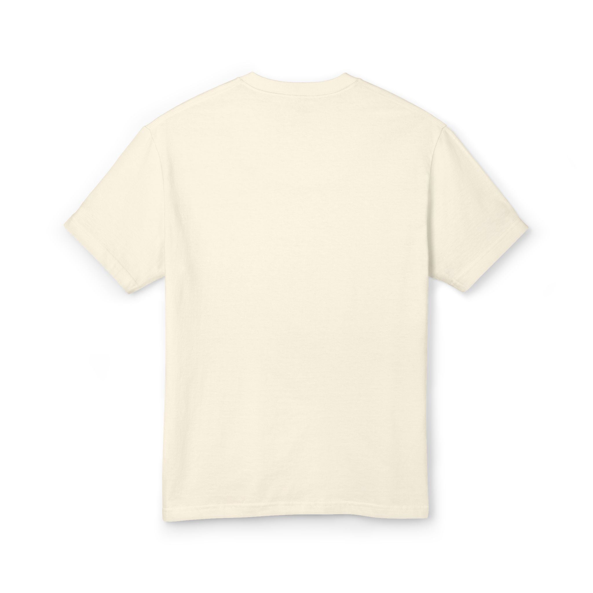 Tubman-Truth, Unisex, Historical Portrait T-shirt
