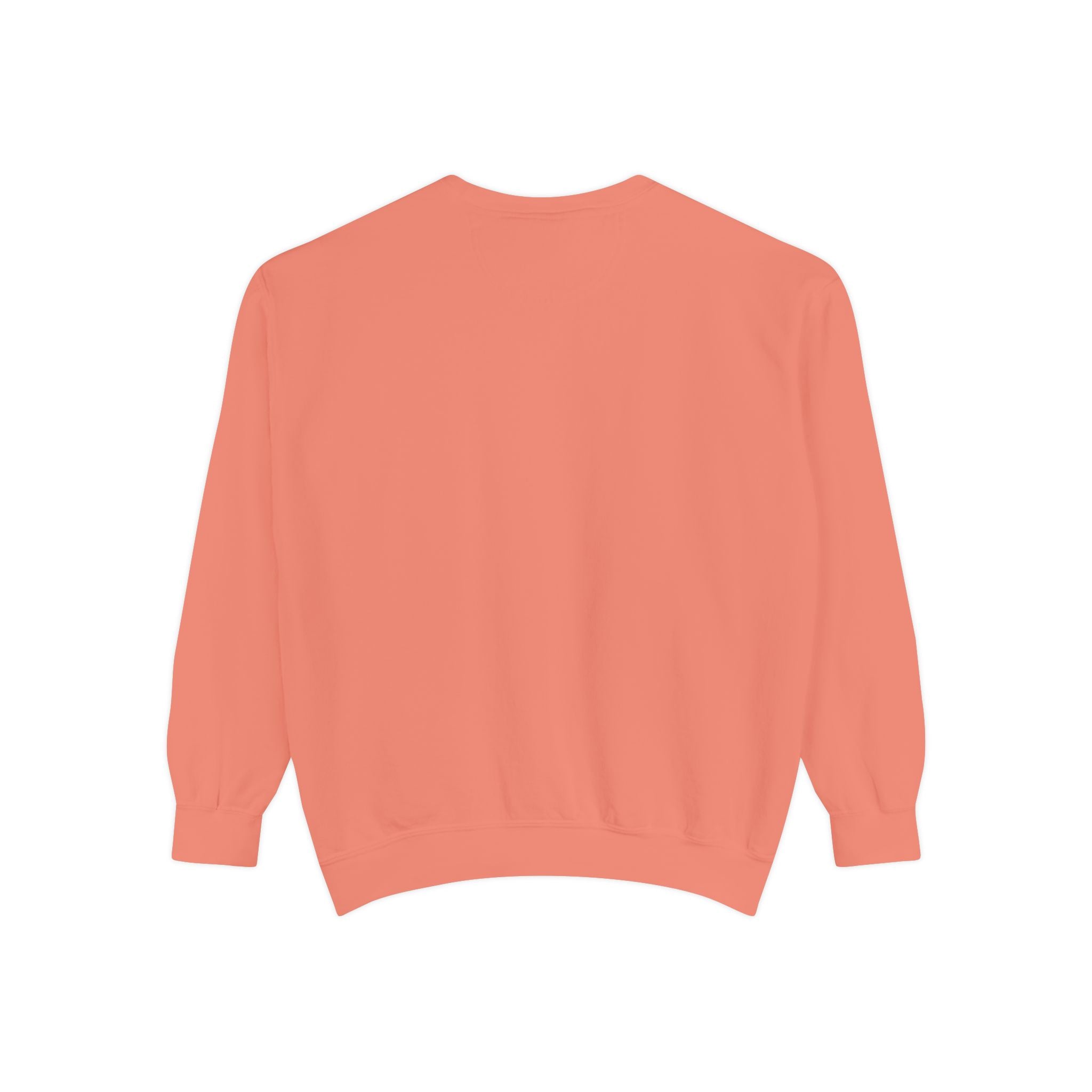 Susie King Taylor: Unisex Garment-Dyed Sweatshirt (City Champs)