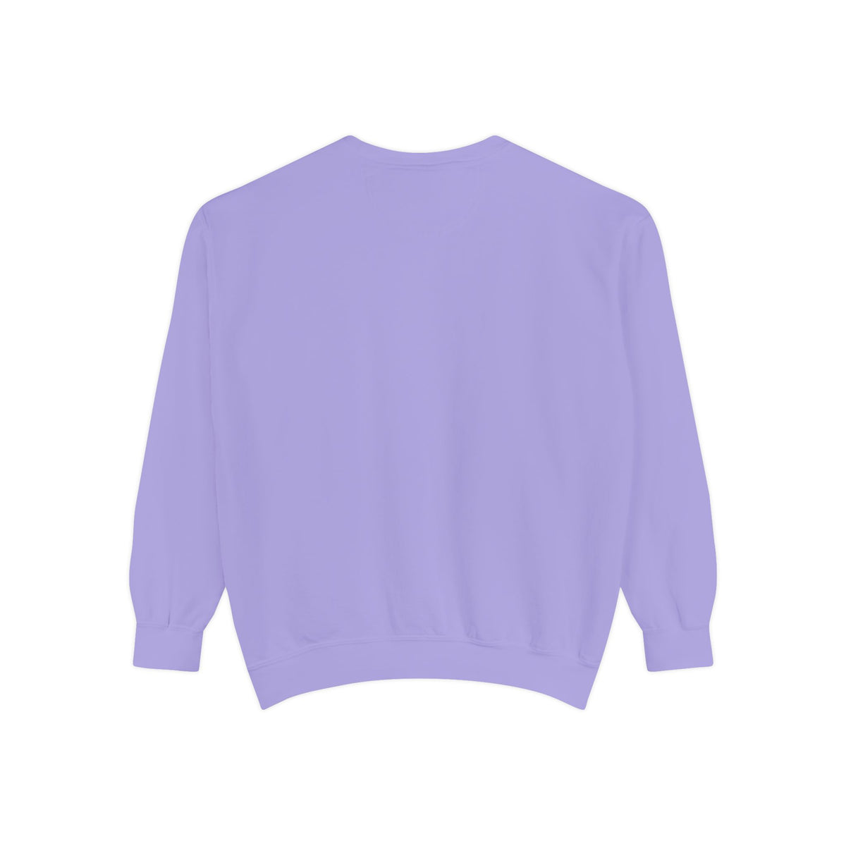 Tubman-Truth, Unisex, Garment-Dyed Sweatshirt (City Champs)