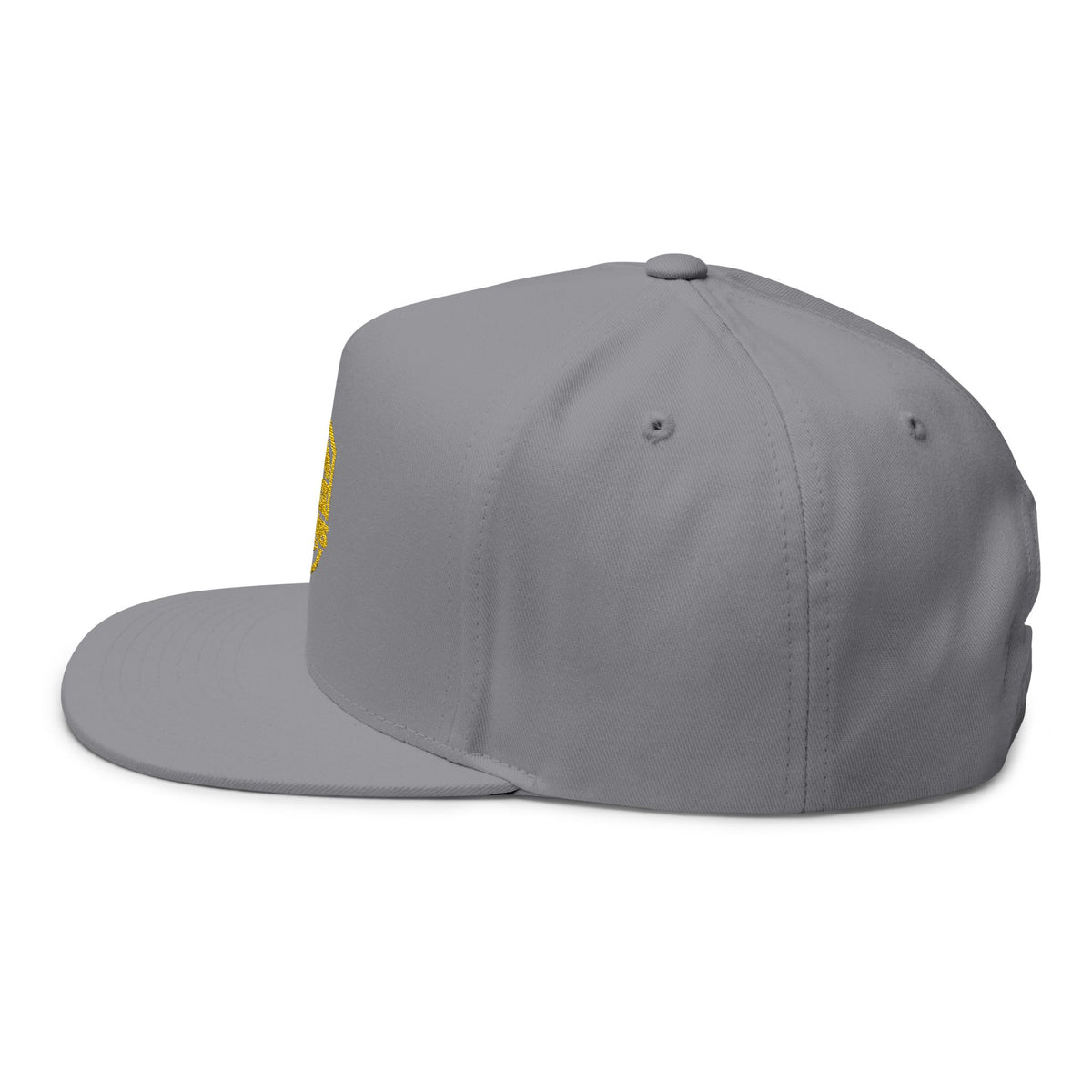 Defend Black Memories Flat Bill Cap (Embroidery)